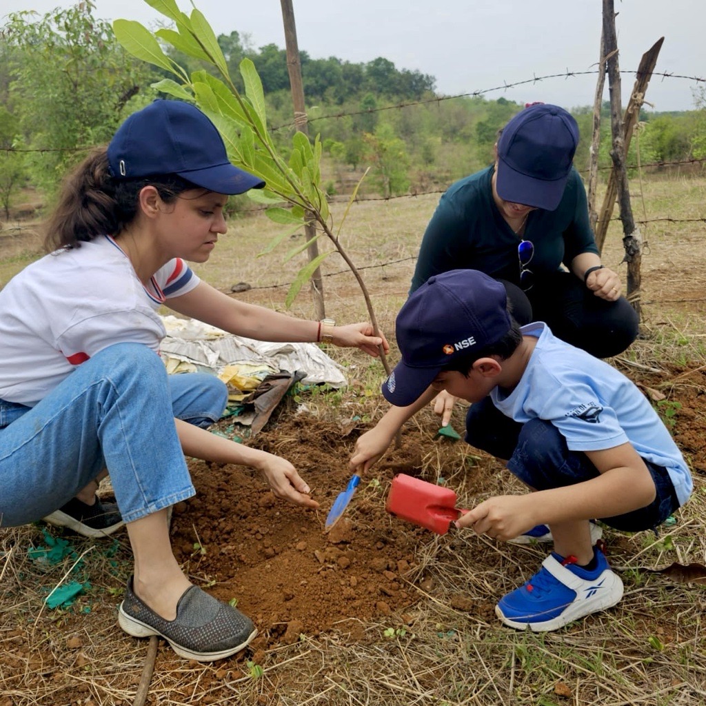 Tree Plantation