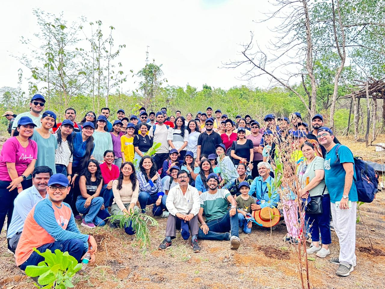 Tree Plantation Employee Volunteer