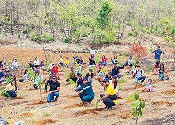 NSE Group Tree Plantation drive