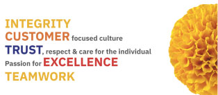 Values